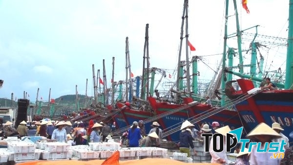 Tàu cá tấp nập về bến ở xã Tiến Thủy - Quỳnh Lưu