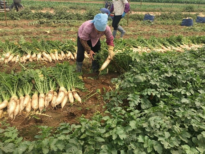 Ảnh minh họa (Nguồn internet)