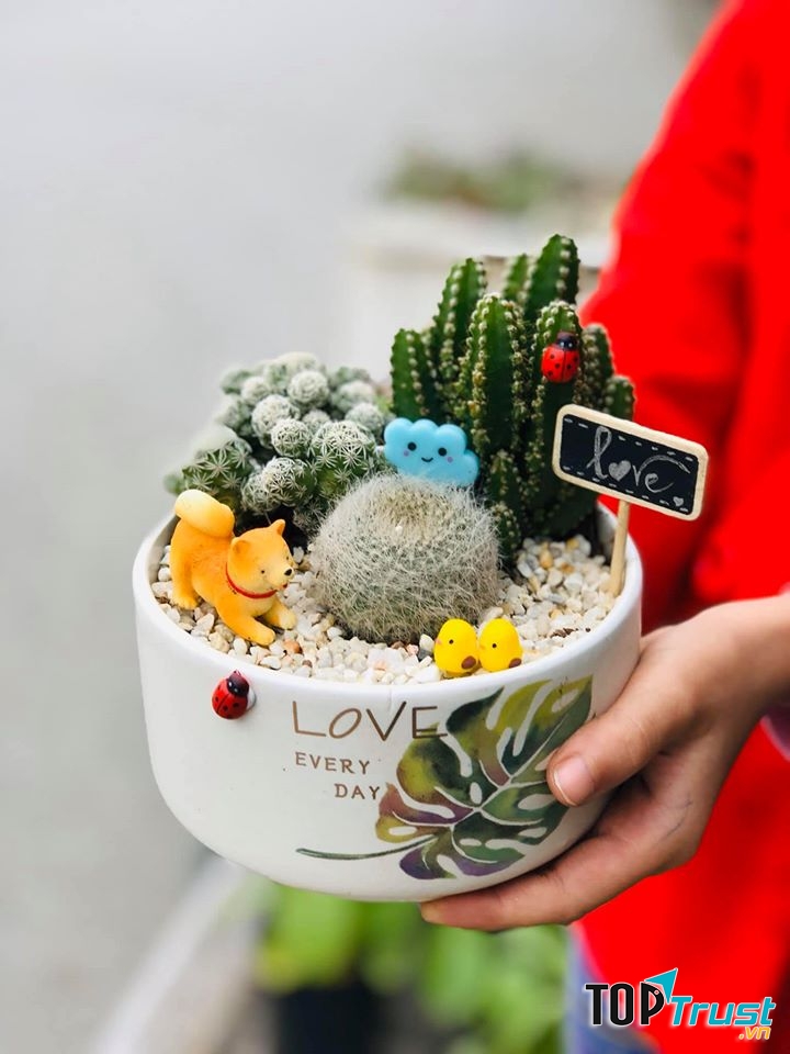 Terrarium xinh xắn tại Xanh Home