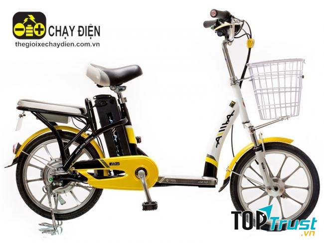 Xe đạp điện – Aima ED210E