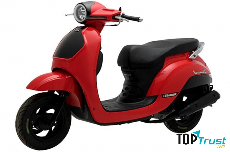 Xe đạp điện chính hãng