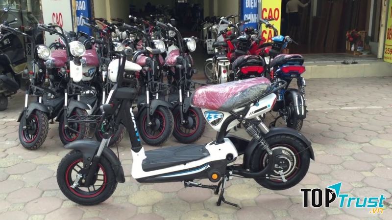 Xe đạp điện Giant M133 Mini