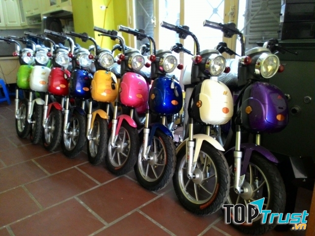 Xe đạp điện Nijia