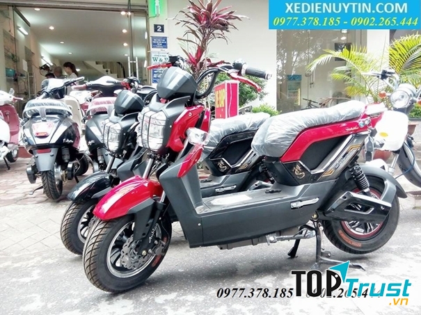 Xe đạp điện uy tín