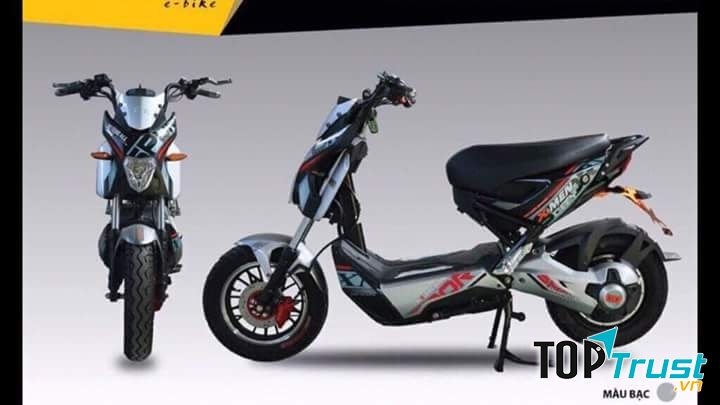 Mẫu xe mới nhất của cửa hàng