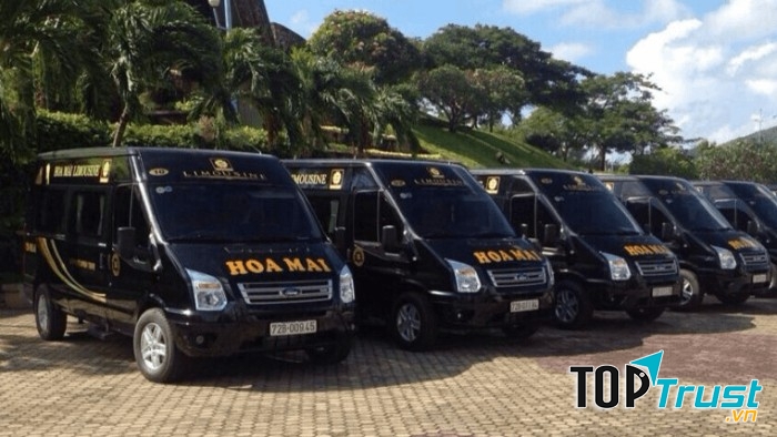 Xe Hoa Mai Vũng Tàu