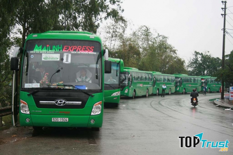 Mai Linh Express