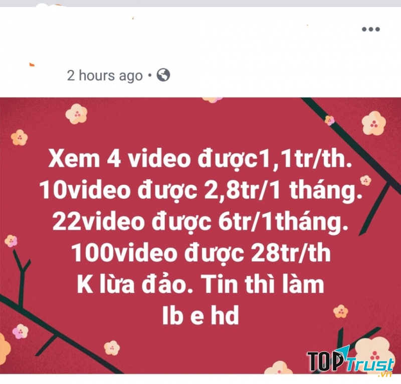Hình ảnh minh họa (Nguồn Internet)