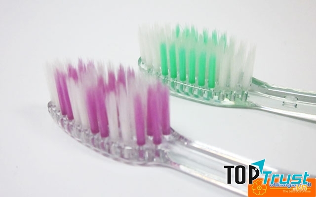 Xem xét hình dạng sợi lông bàn chải