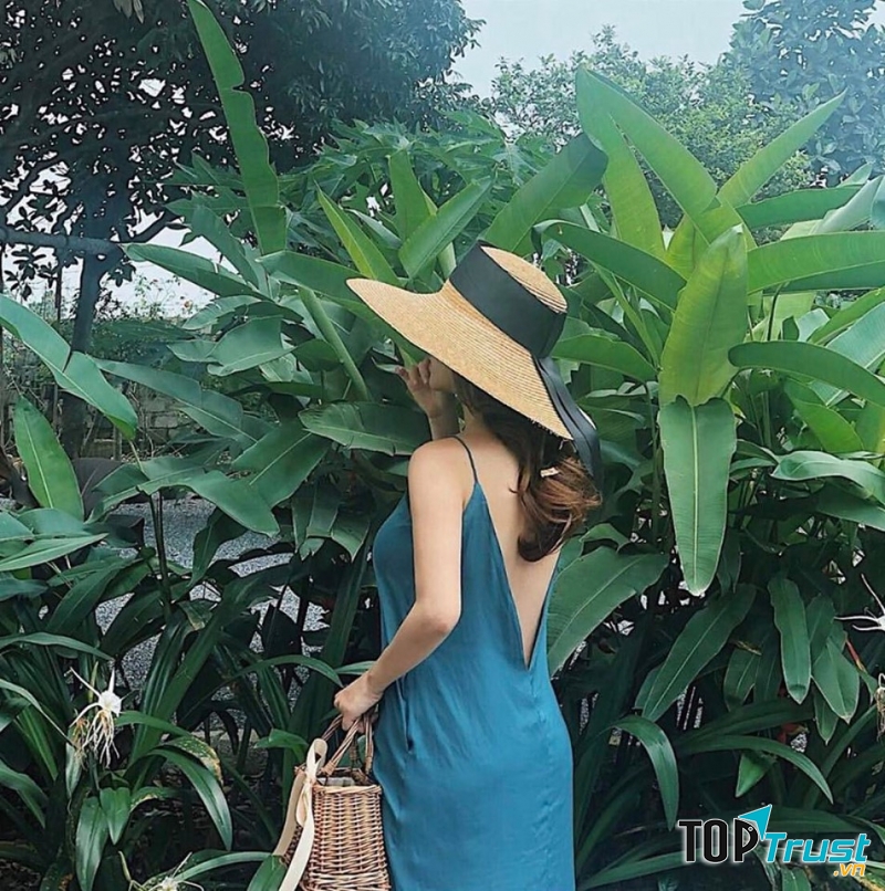 XÉO XỌ