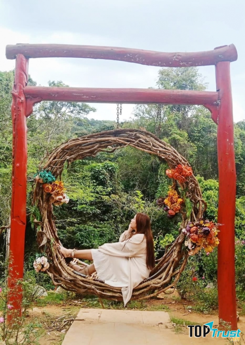 Xích Đu Nguyệt Quế