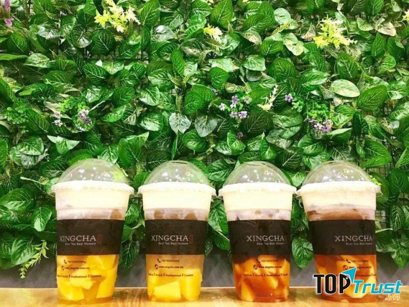 Xing Cha Phố Nối