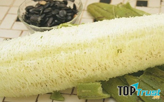 Xơ mướp chữa tắc tia sữa