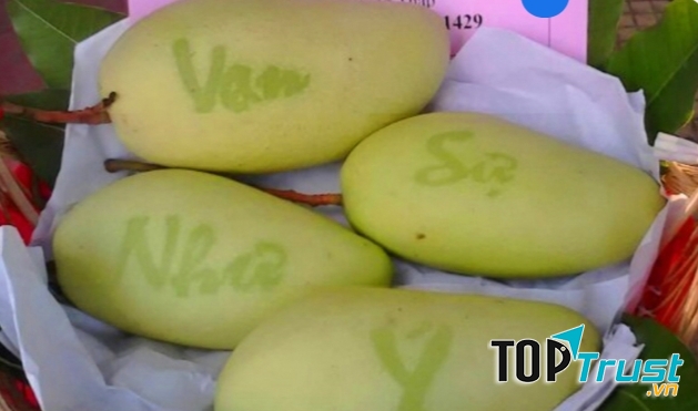 Xoài in chữ nổi