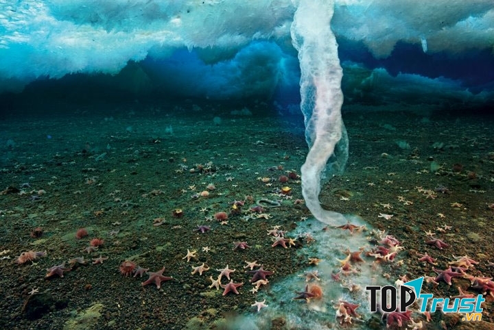 Xoáy nước băng là một hiện tượng hiếm thấy trên đại dương