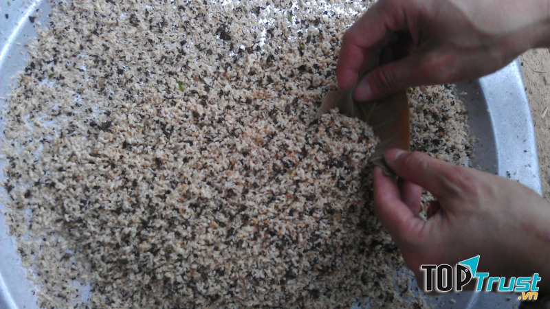 Công đoạn làm xôi trứng kiến