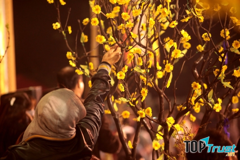 ... và hái lộc đầu năm là những thói quen không thể thiếu của người Việt