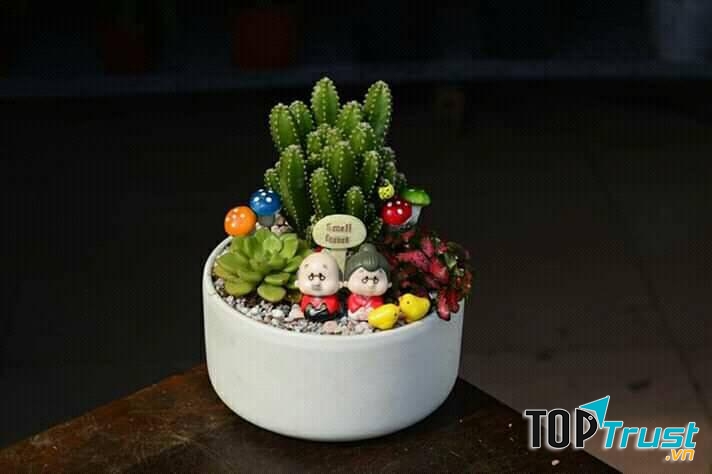 Xương Rồng Cần Thơ