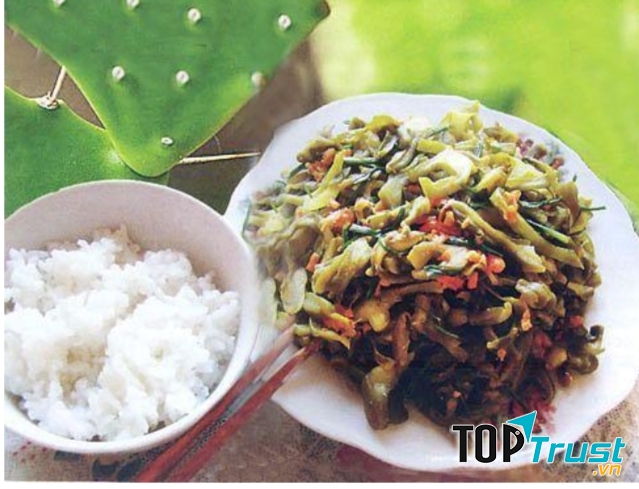 Xương rồng Quảng Nam