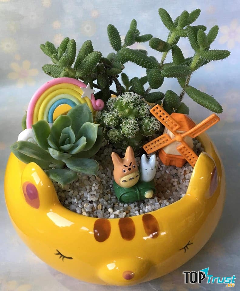 Xương Rồng - Sen Đá Nhi