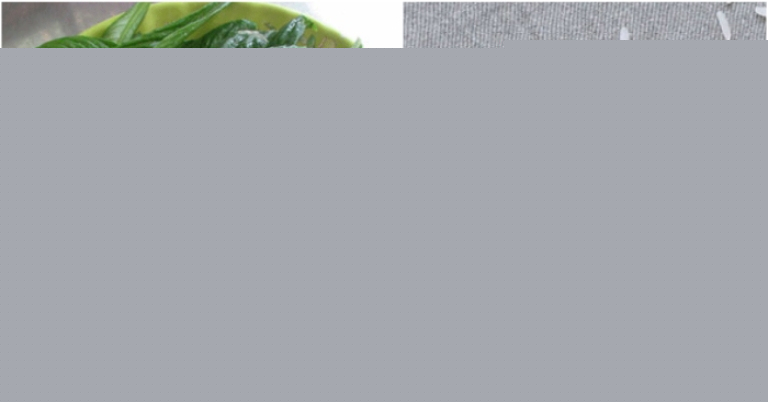 Xương sông trị ho rất tốt.