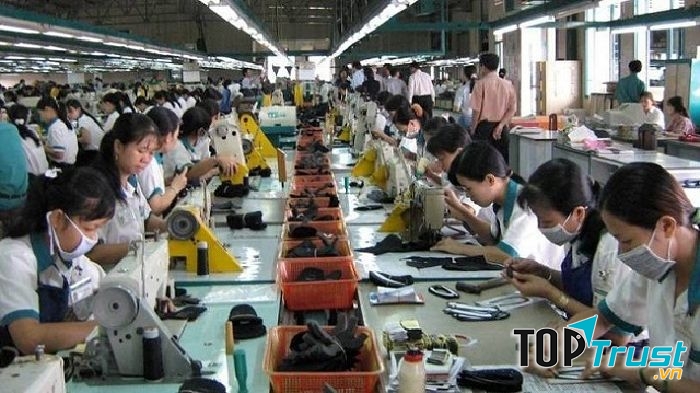 Đây được đánh giá là địa chỉ phù hợp với người mới bắt đầu kinh doanh và có số lượng mua lớn.