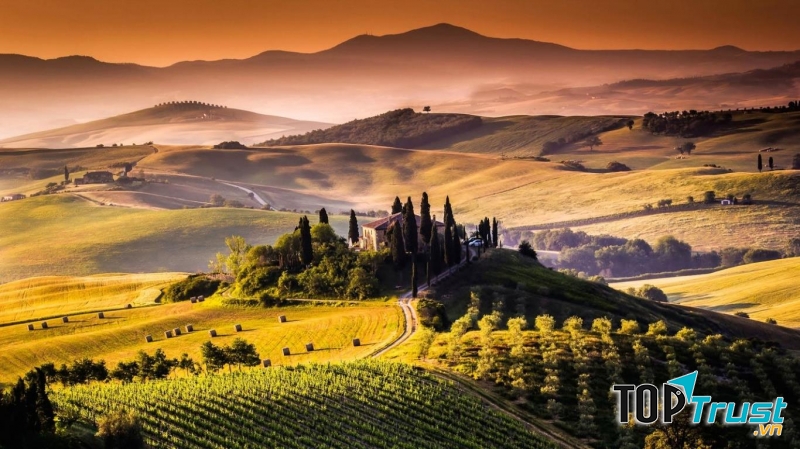 Trong vài năm qua, nền kinh tế đã mạnh lên