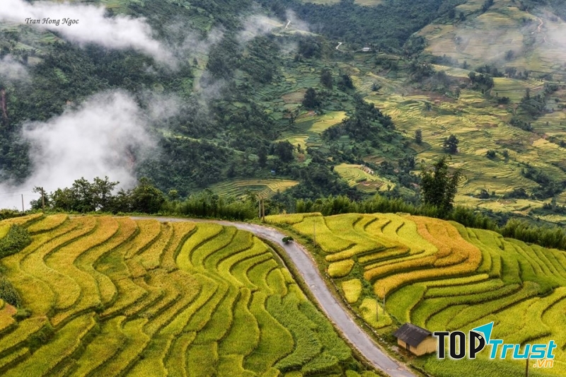 Không giống như ruộng bậc thang ở những nơi khác, đến Y Tý bạn có thể bất chợt gặp những biển mây tràn trên ruộng.