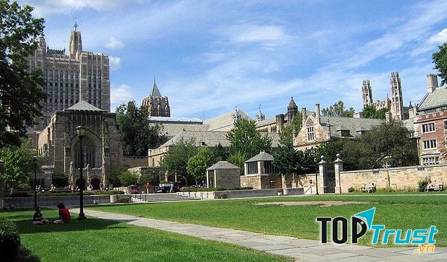 Đại học Yale