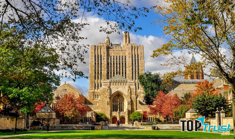 Yale University