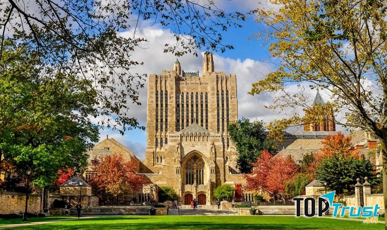 Đại học Yale