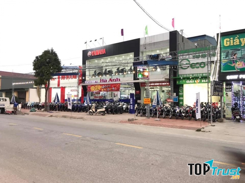 Yamaha Hà Anh