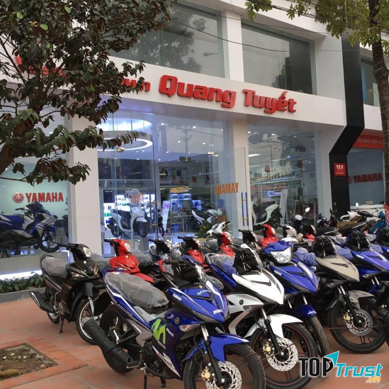 Yamaha Town Quang Tuyết