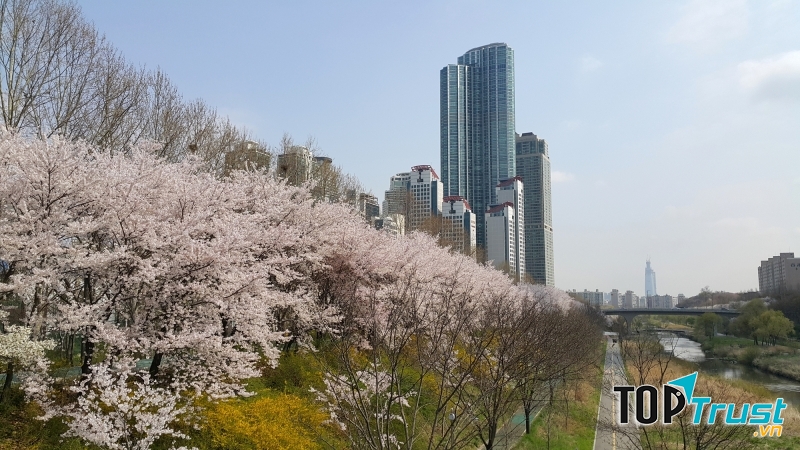 Ở đây có cả một con đường dành riêng cho những ai thích đi xe đạp