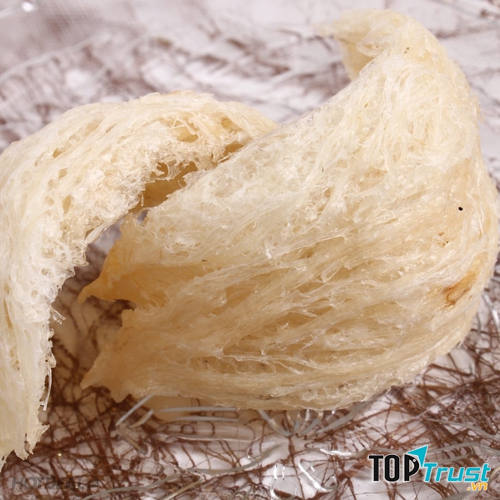 Yến sào Khang Việt - địa chỉ mua yến sào uy tín nhất Nha Trang