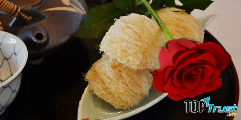 Yến sào Vịnh Nha Trang