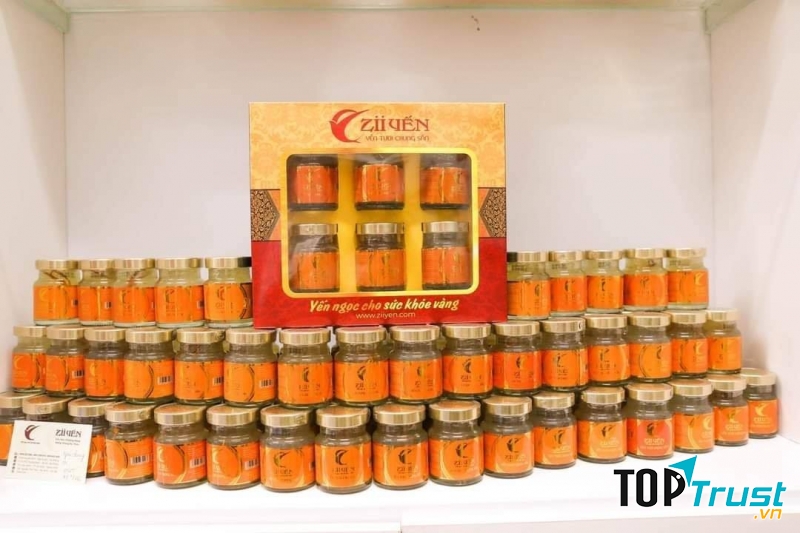 Yến sào ZII Yến