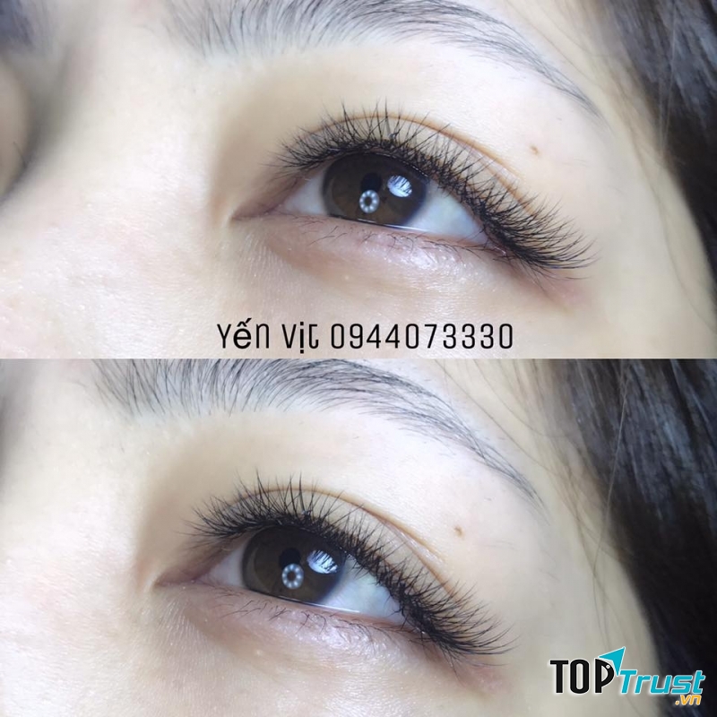 Yến Vịt Nối Mi