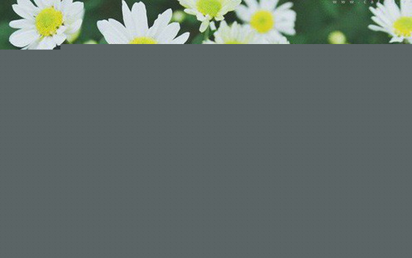 Hãy cứ thư giãn bằng những cách đơn giản nhất mà không cần xài tiền