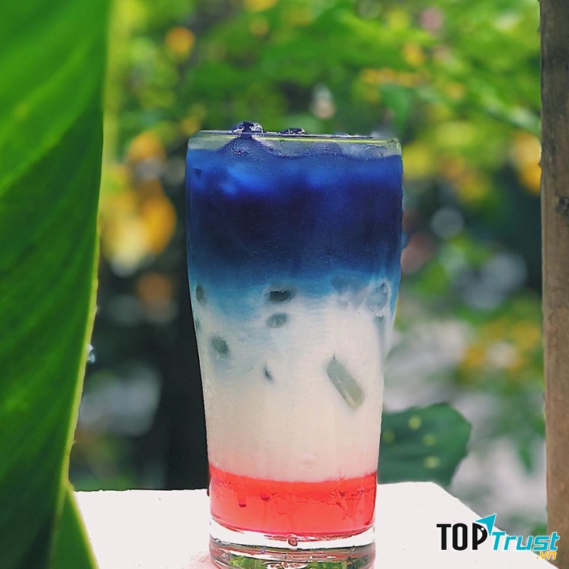 Young Coffee & Tea nằm trong ngõ 56 Thái Thành, Young Coffee & Tea là điểm hẹn của nhiều bạn trẻ mỗi khi cần tìm nơi để tụ tập thư giãn