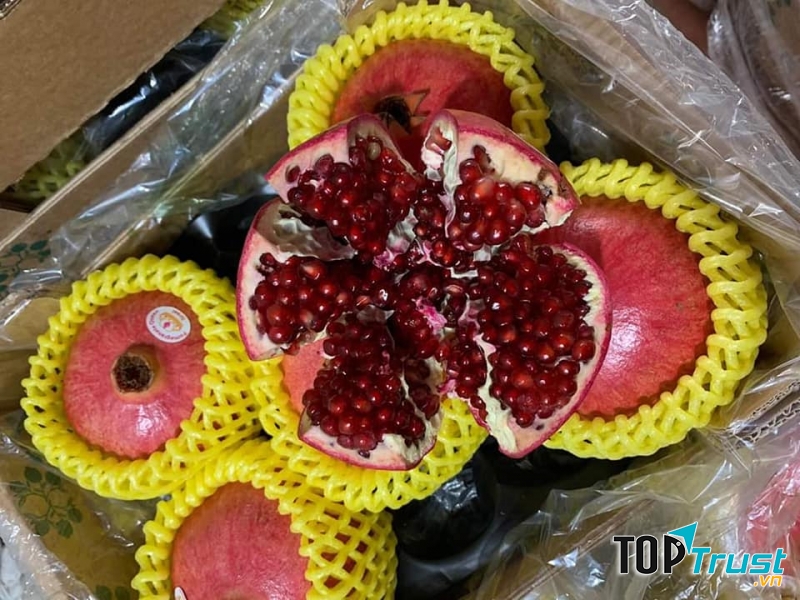 Yummy Fruit