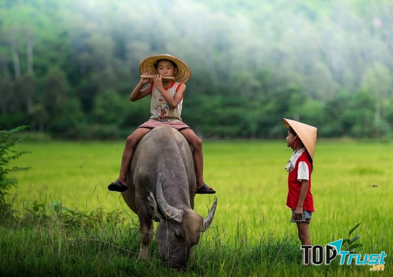 Bài cảm âm sáo trúc hay nhất về quê hương