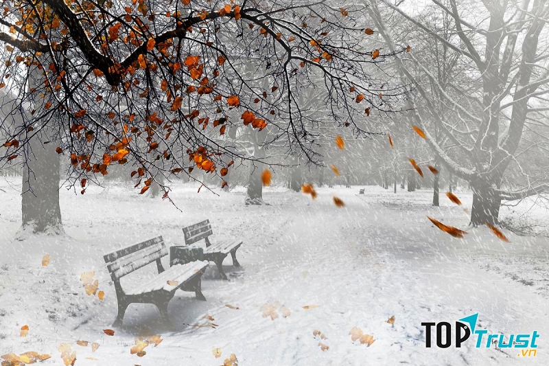 Bài hát hay nhất dành cho mùa đông