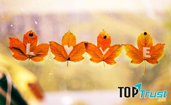 Bài hát về em và mùa thu hay nhất