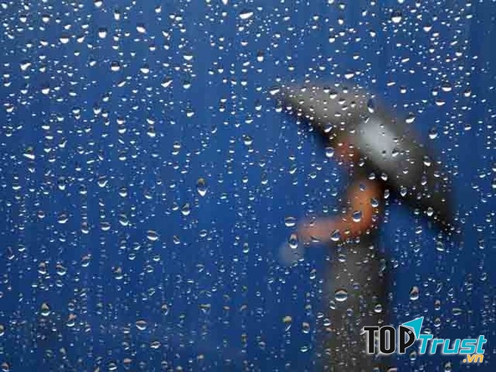 Bài hát về mưa hay nhất