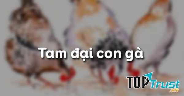 Bài soạn Tam đại con gà (Ngữ Văn 10) hay nhất