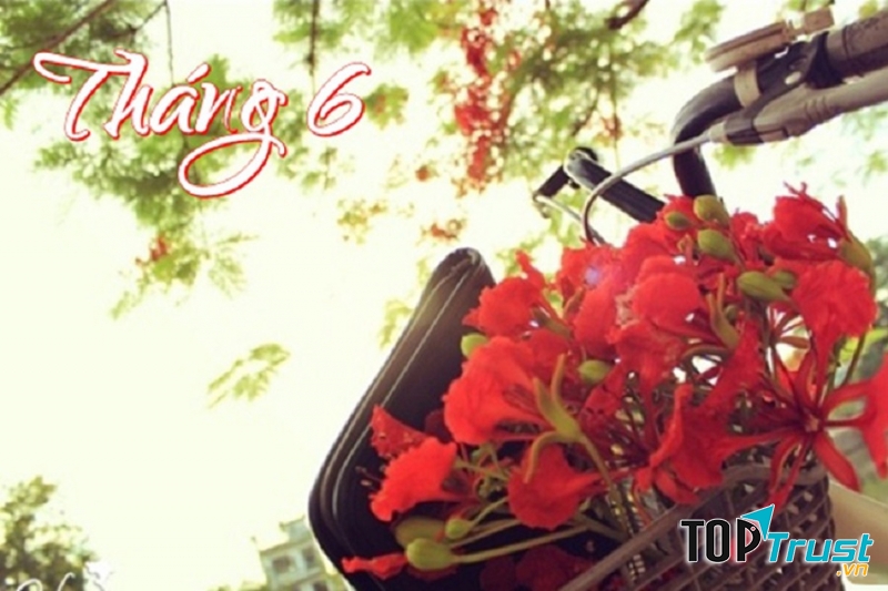 Bài thơ hay đón chào tháng sáu