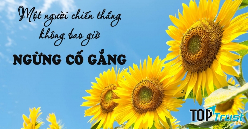 Bài thơ hay giúp bạn có thêm niềm tin và động lực cố gắng