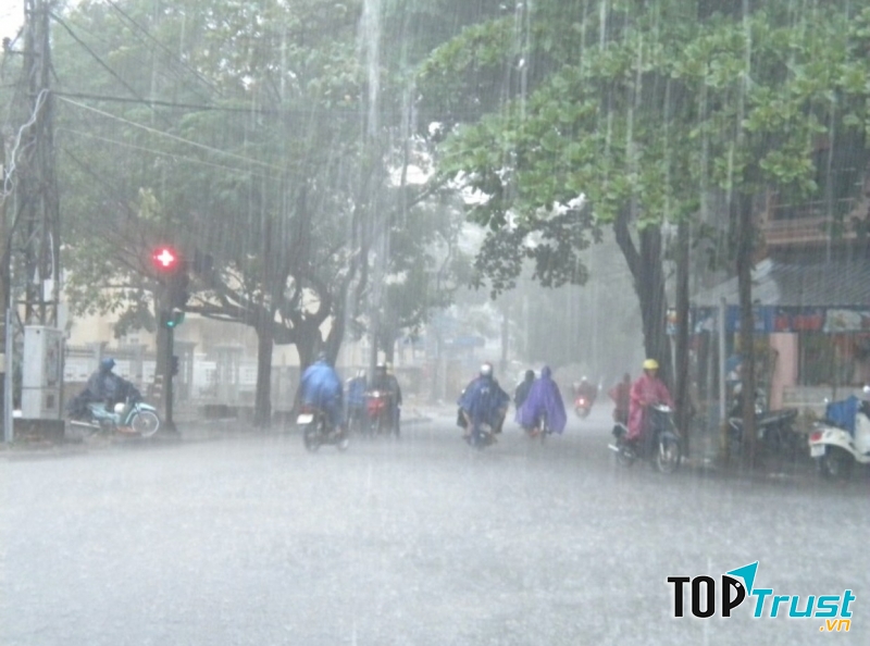 Bài thơ hay về bão