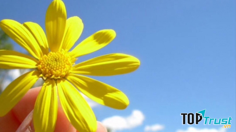 Bài thơ hay về hiện tượng thiên nhiên dành cho Thiếu Nhi